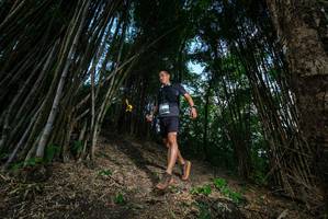 BIB: 
                            <button type="button" onclick="openModal(19395533)" class="btn btn-primary btn-sm float-right btn-popup" data-toggle="modal" data-target=".modal-high-quality">
                        <i class="fas fa-shopping-cart"></i> Add to Cart
                    </button>
                                            <button type="button" onclick="isThisMe(19395533, true)" class="btn btn-success btn-sm float-right btn-popup btn-isme hidden" data-toggle="tooltip" data-placement="bottom" title="นี่คือรูปของคุณใช่ไหม คลิกที่นี่เพื่อเอาเข้าอัลบั้ม">
                        <i class="fas fa-plus"></i> Add to album
                    </button>
                    <button type="button" onclick="isThisMe(19395533, false)" class="btn btn-warning btn-sm float-right btn-popup btn-isnotme hidden">
                        <i class="fas fa-ban"></i> Remove from album
                    </button>